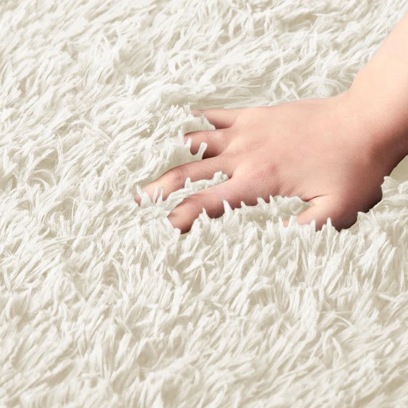 Joyan Deep Pile Fluffy Shaggy Area Rug for Indoor/Outdoor Use