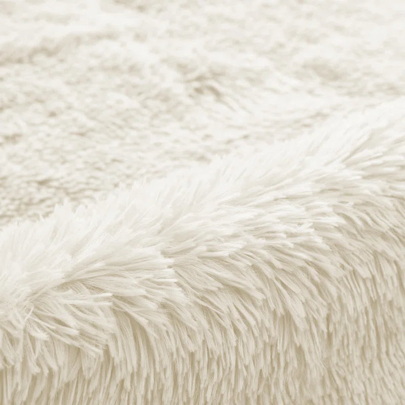 Joyan Deep Pile Fluffy Shaggy Area Rug for Indoor/Outdoor Use