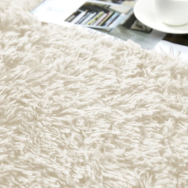 Joyan Deep Pile Fluffy Shaggy Area Rug for Indoor/Outdoor Use