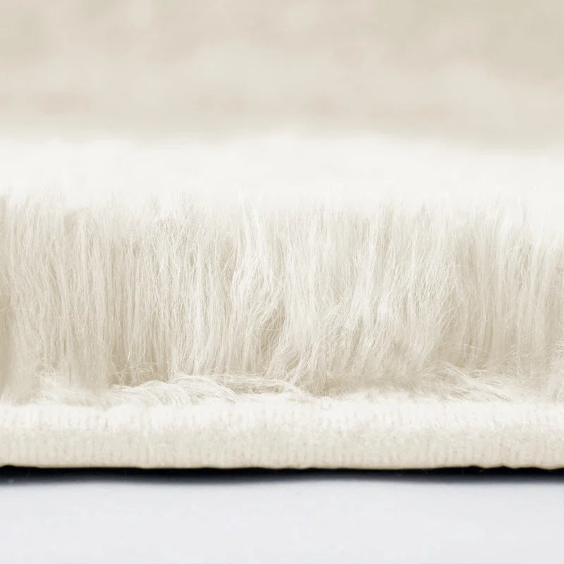 Joyan Deep Pile Fluffy Shaggy Area Rug for Indoor/Outdoor Use