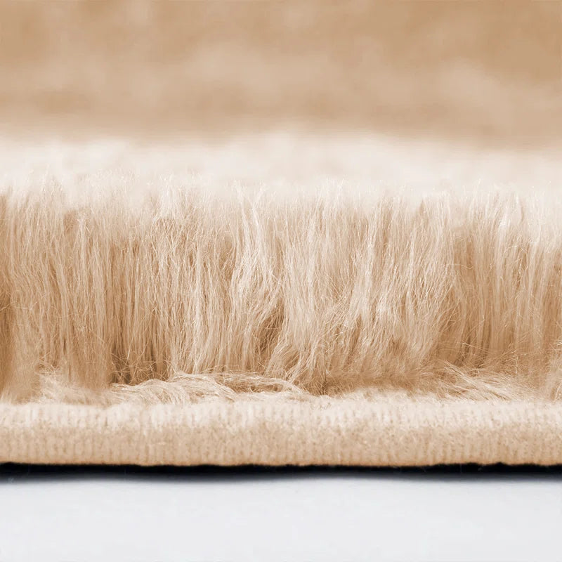 Fairton Shag Area Rug